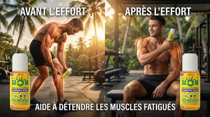 NAMAAN MUAY LINIMENT OIL